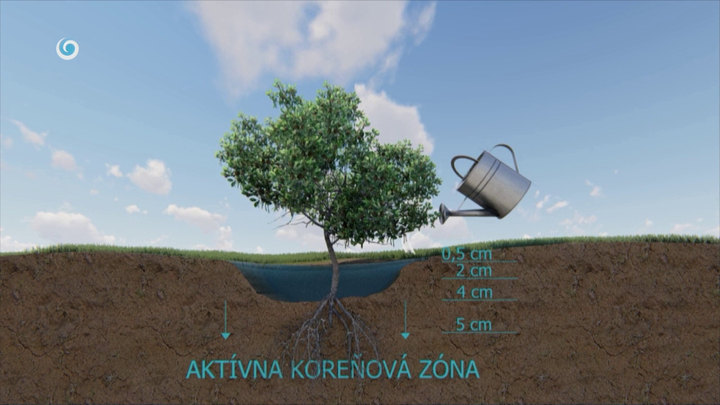 Nova zahrada - polievanie